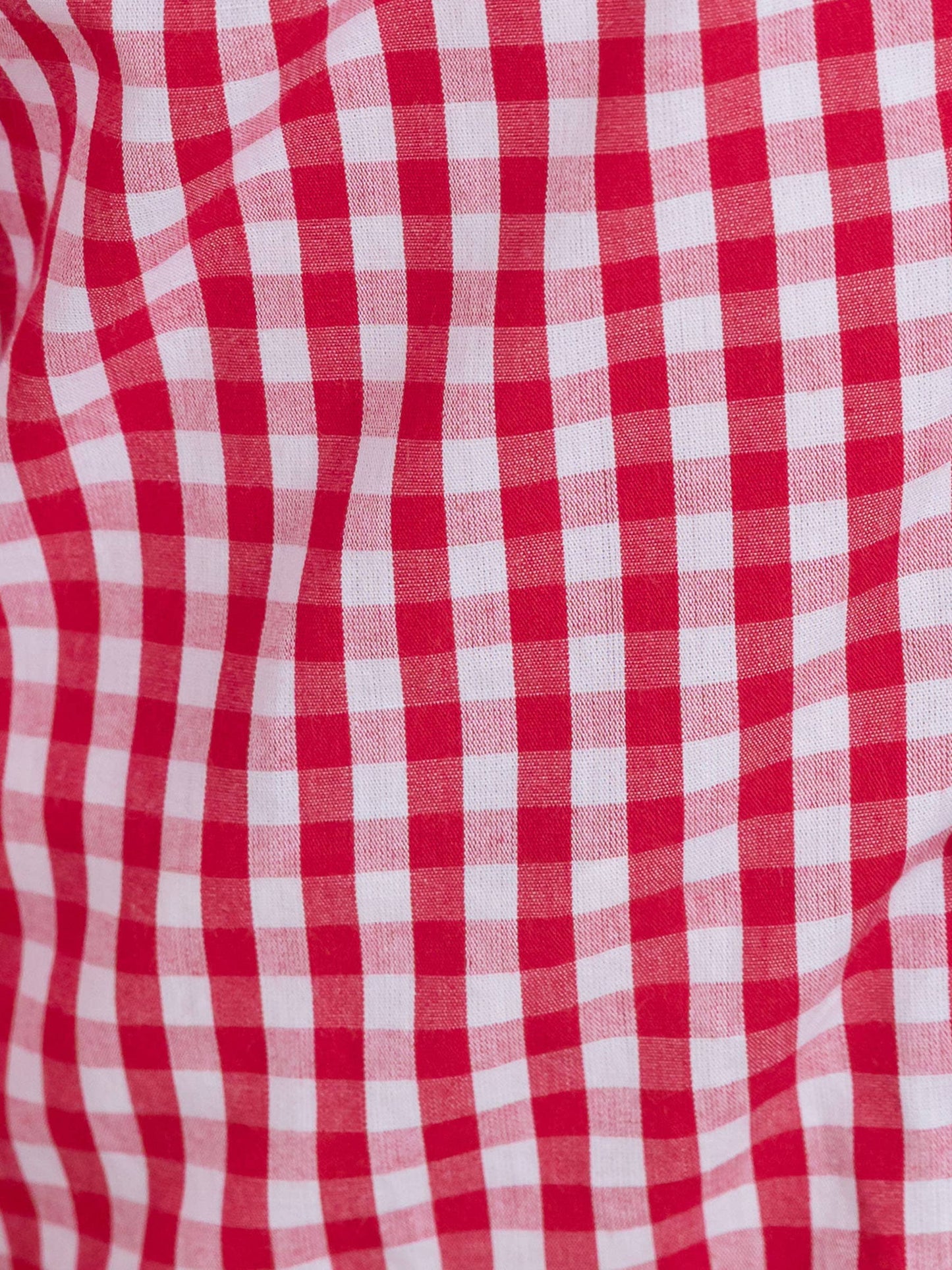 Boys Christmas Classic Red Gingham Long Sleeve Button Down Shirt